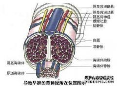 吉安市男科哪个医院